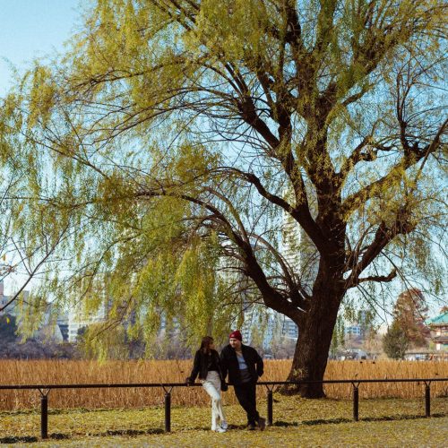 PENUTUP YULIA DEVIN (1)